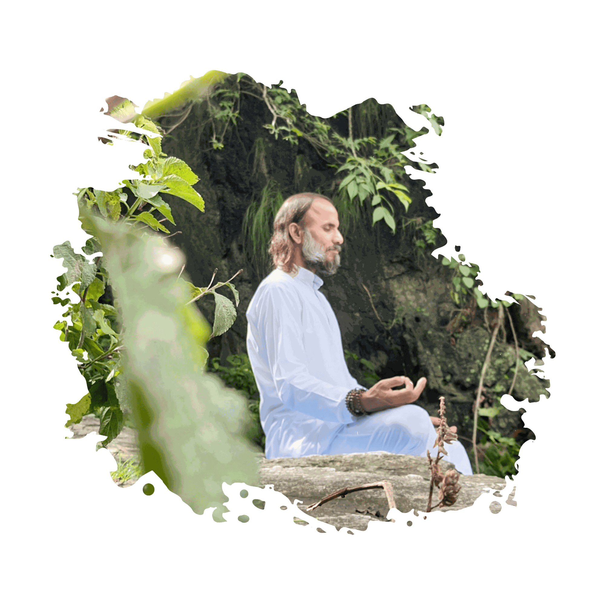 best meditation teacher India