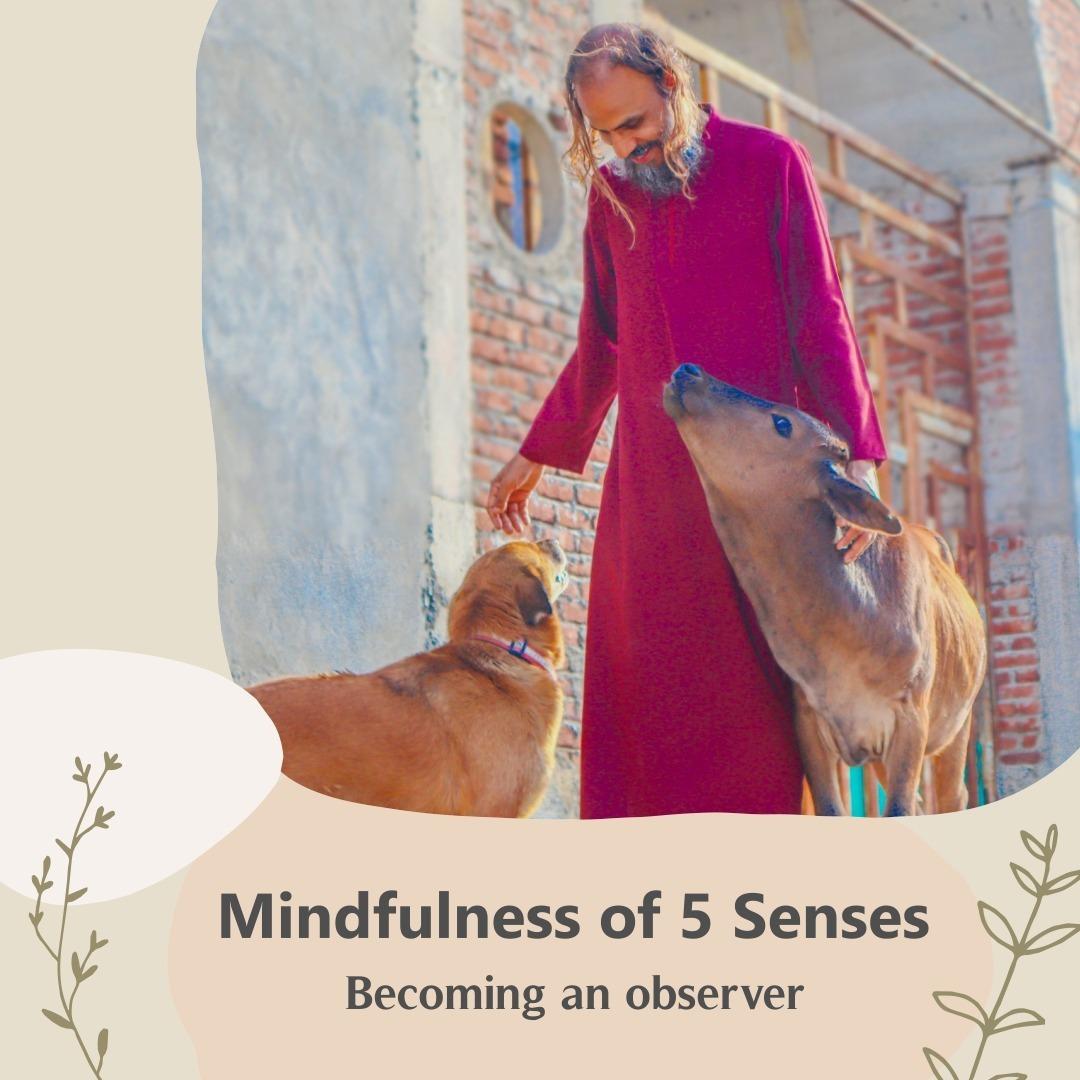 mindfulness meditation of 5 senses