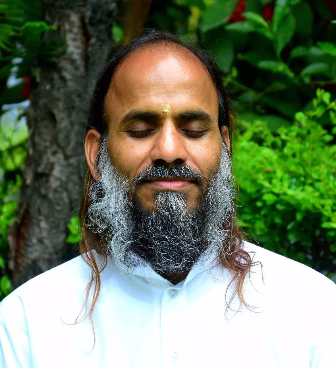 best meditation teacher india