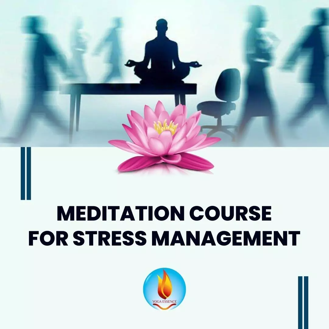 Meditation Courses for Wellness, Mindfulness & Spiritual Awakening