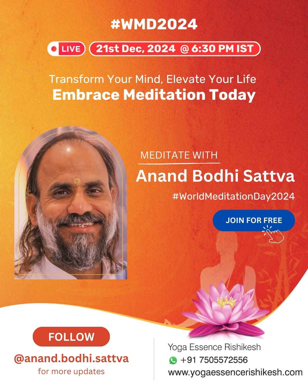 Anand Bodhi Sattva World Meditation Day 2024 event poster